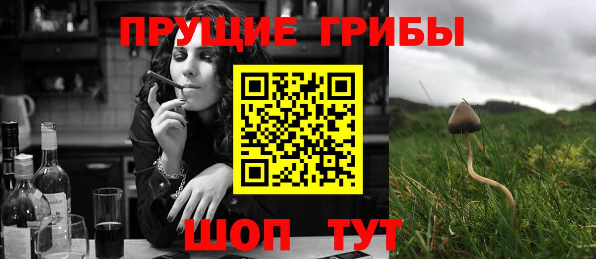 Лсд 25  ГАШ  Вход с VPN  МЕФ   Кострома  Cocaine  Конопля 